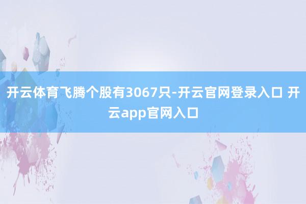 开云体育飞腾个股有3067只-开云官网登录入口 开云app官网入口