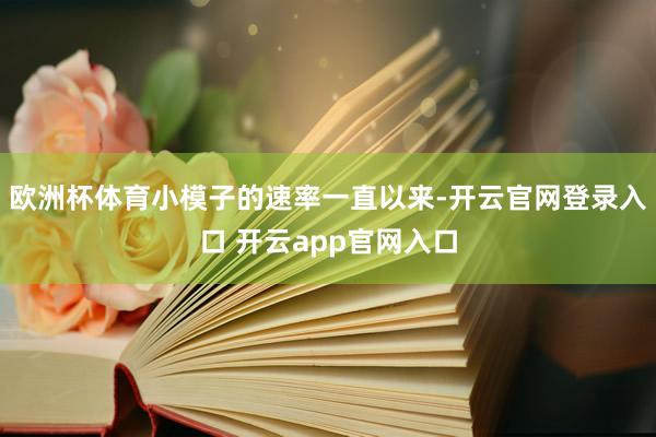 欧洲杯体育小模子的速率一直以来-开云官网登录入口 开云app官网入口