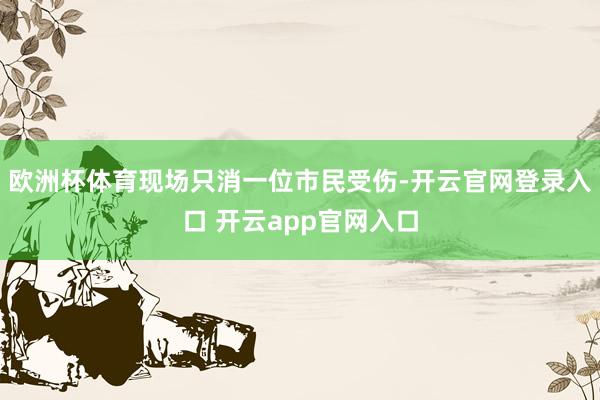 欧洲杯体育现场只消一位市民受伤-开云官网登录入口 开云app官网入口