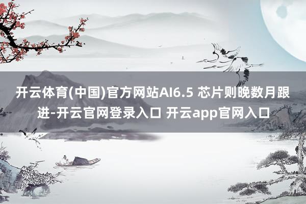 开云体育(中国)官方网站AI6.5 芯片则晚数月跟进-开云官网登录入口 开云app官网入口