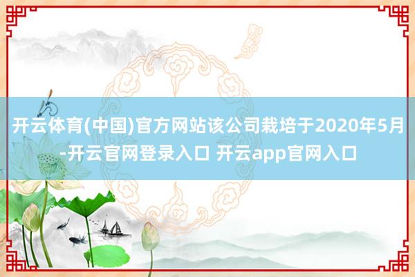 开云体育(中国)官方网站该公司栽培于2020年5月-开云官网登录入口 开云app官网入口