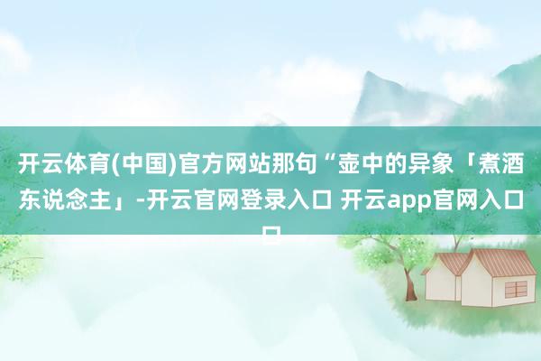 开云体育(中国)官方网站那句“壶中的异象「煮酒东说念主」-开云官网登录入口 开云app官网入口